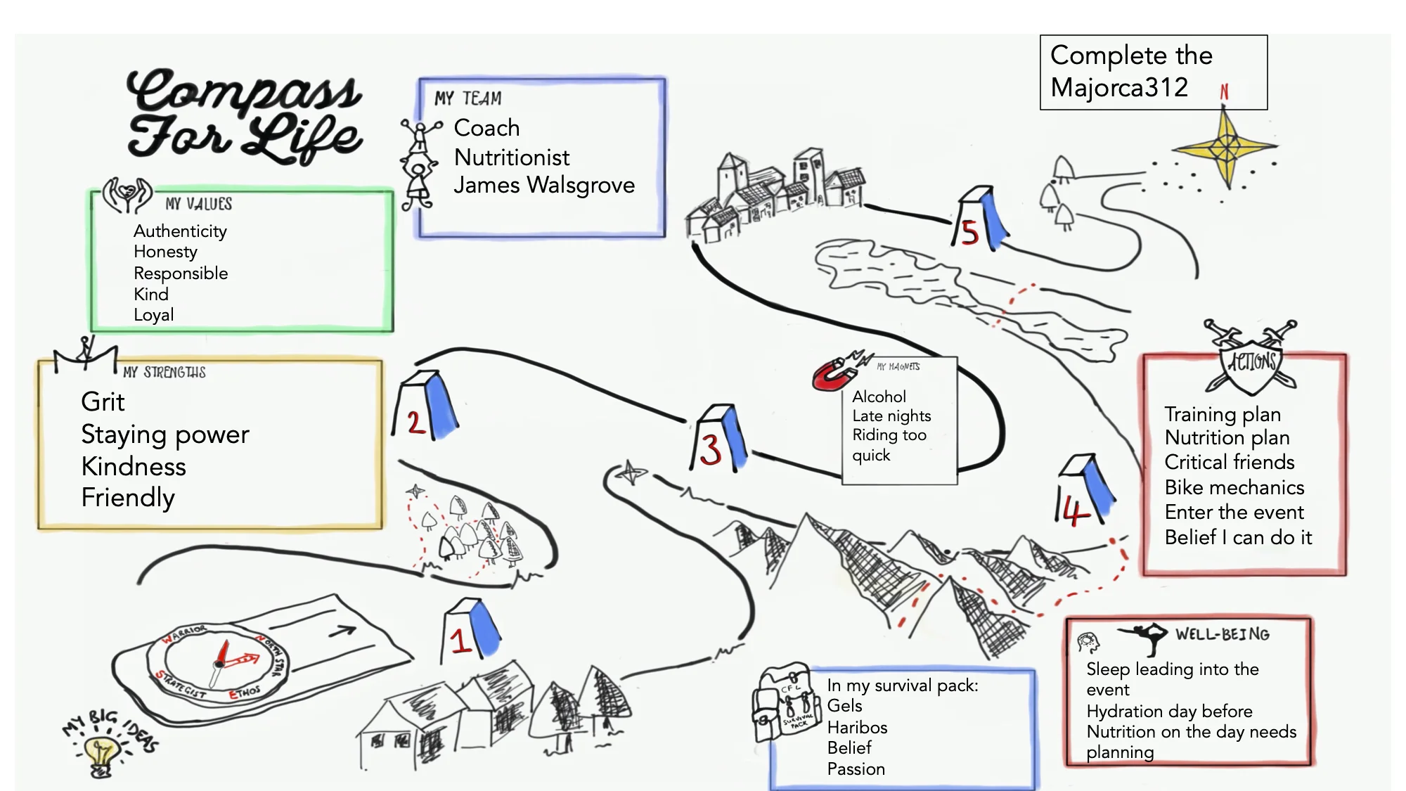 Strategy For the Mallorca 312